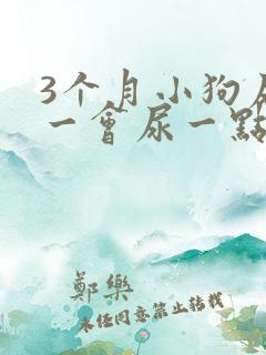 3个月小狗尿频一会尿一点