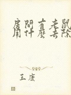 房间有老鼠尿味用什么去除效果好