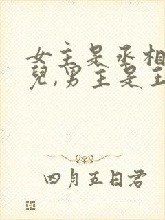 女主是丞相的女儿,男主是王爷