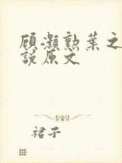 顾灏勋叶之夏小说原文