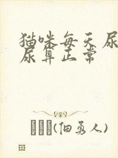 猫咪每天尿几泡尿算正常