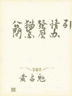 公猫发情引起尿闭怎么办