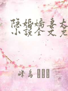 隐婚娇妻太迷人小说全文免费阅读