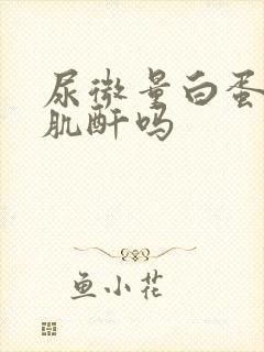 尿微量白蛋白是肌酐吗