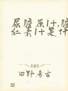 尿胆原1+,胆红素1+是什么意思