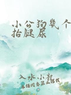 小公狗几个月会抬腿尿