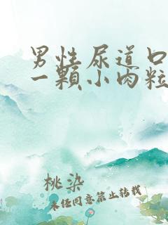 男性尿道口长了一颗小肉粒