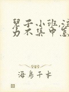 儿子小班,注意力不集中怎么办