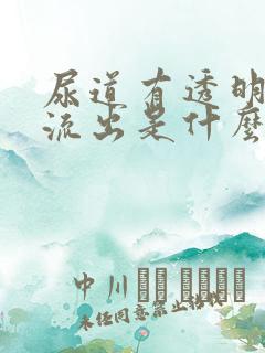 尿道有透明液体流出是什么