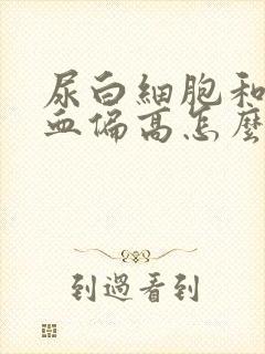 尿白细胞和尿隐血偏高怎么回事