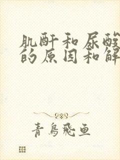 肌酐和尿酸偏高的原因和解决方法