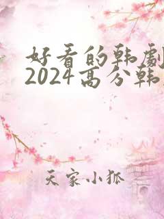 好看的韩剧推荐2024高分韩剧