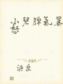 小儿脾气暴躁易怒