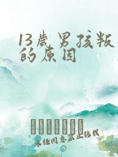 13岁男孩叛逆的原因