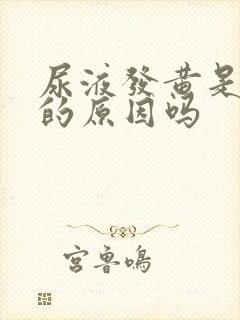 尿液发黄是上火的原因吗