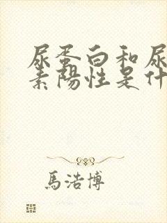 尿蛋白和尿胆红素阳性是什么意思