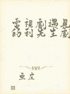 电视剧遇见爱情的利先生剧情介绍