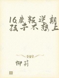 16岁叛逆期的孩子不想上学怎么办