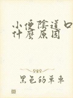 小便阴道口疼是什么原因