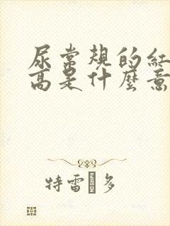 尿常规的红细胞高是什么意思