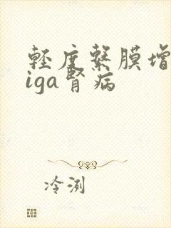 轻度系膜增生性iga肾病