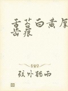 舌苔白黄厚腻有齿痕