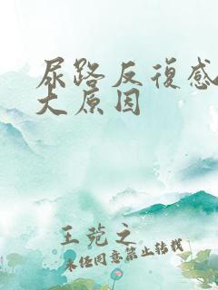 尿路反复感染几大原因