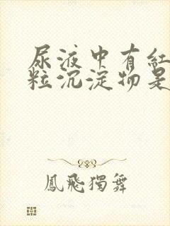 尿液中有红色颗粒沉淀物是什么原因