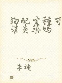 狗配完种可以吃消炎药吗