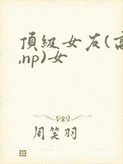 顶级女友(高h,np)女