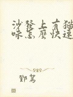 沙发上有猫尿骚味怎么快速去除