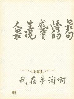 人生感悟最精辟最现实的句子