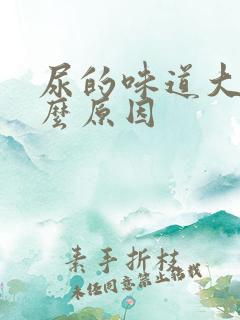 尿的味道大是什么原因