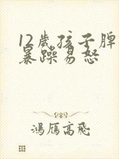 12岁孩子脾气暴躁易怒