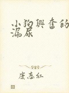 小狗兴奋的时候漏尿