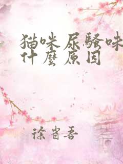 猫咪尿骚味重是什么原因