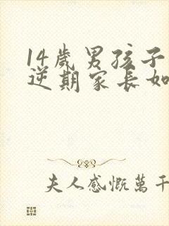 14岁男孩子叛逆期家长如何管教