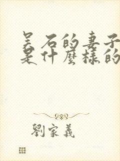 吴石的妻子结局是什么样的