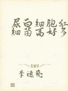 尿白细胞红细胞细菌高好多怎么回事