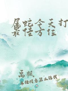 属蛇今天打牌的最佳方位