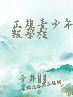 正规青少年叛逆叛学校