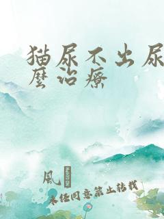 猫尿不出尿血怎么治疗