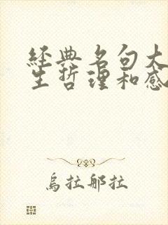 经典名句大全人生哲理和感悟