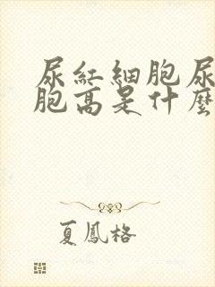 尿红细胞尿白细胞高是什么原因