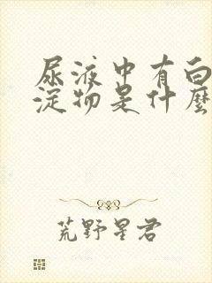 尿液中有白色沉淀物是什么