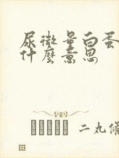 尿微量白蛋白高什么意思