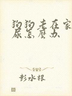 狗狗老在家里撒尿怎么办