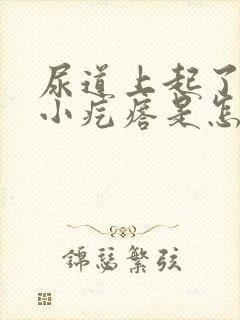 尿道上起了一个小疙瘩是怎么回事