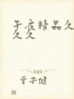 午夜精品久久久久久