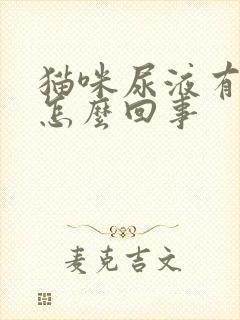 猫咪尿液有血是怎么回事